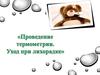 Проведение термометрии. Уход при лихорадке