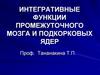 Интегративные функции промежуточного мозга и подкорковых ядер