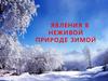 Явления в неживой природе зимой