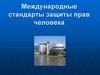 Международные стандарты защиты прав человека