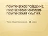Политическое поведение. Политическое сознание. Политическая культура