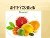 Цитрусовые культуры