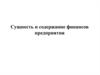 Сущность и содержание финансов предприятия