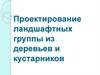 Декоративные группы из деревьев и кустарников в озеленении - online ...
