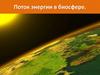Поток энергии в биосфере
