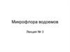 Микрофлора водоемов. Отдел золотистые водоросли