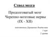 Продолговатый мозг. Черепно-мозговые нервы (IX - XII)