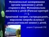 Функціональні захворювання органів травлення у дітей старшого віку. Функціональна диспепсія у дітей (Римські критерії ІV)