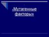 Мутагенные факторы