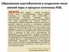 Образование каустобиолитов в осадочном чехле земной коры в процессе катагенеза РОВ