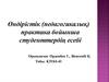 Өндірістік (педагогикалық) практика бойынша студенттердің есебі