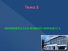 Принципы уголовного процесса