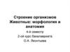 Строение организмов. Животные: морфология и анатомия. Хордовые