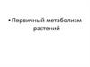 Первичный метаболизм растений