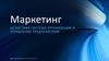Маркетинг. Целостная система организации и управление предприятием