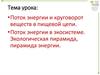 Поток энергии и круговорот веществ в пищевой цепи. Поток энергии в экосистеме. Экологическая пирамида, пирамида энергии