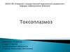 Зоонозное протозойное заболевание токсоплазмоз