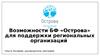 Возможности БФ «Острова» для поддержки региональных организаций