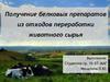 Получение белковых препаратов из отходов переработки животного сырья