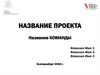 Шаблон презентации проекта