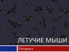 Летучие мыши