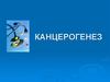 Канцерогенез. Свойства канцерогенов