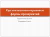 Организационно-правовые формы предприятий