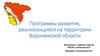 Программы развития, реализующиеся на территории Воронежской области