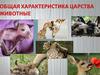 Общая характеристика царства животные