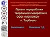 Проект переработки творожной сыворотки в ООО «Молоко» п. Торбеево
