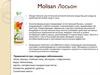Molisan Лосьон