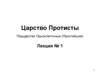 Царство Протисты. Подцарство Одноклеточные (Простейшие)