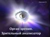 Орган зрения. Зрительный анализатор