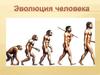 Эволюция человека