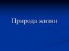 Природа жизни