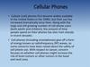 Cellular Phones