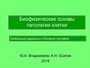Биофизические основы патологии клетки. Свободные радикалы и болезни человека. Молекулярные и клеточные механизмы апоптоза