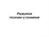 Развитие психики и сознания