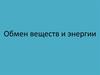 Обмен веществ и энергии