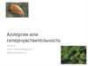 Аллергия или гиперчувствительность