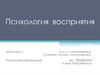 Психология восприятия. Зрительная система