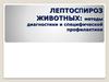 Лептоспироз животных: методы диагностики и специфической профилактики