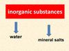 Inorganic substances. Water. Mineral salts