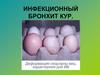 Инфекционный бронхит кур