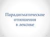 Парадигматические отношения в лексике