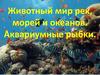 Животный мир рек, морей и океанов. Рыбы