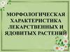 Морфологическая характеристика лекарственных и ядовитых растений