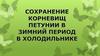 Сохранение корневищ петунии в зимний период в холодильнике