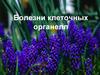 Болезни клеточных органелл