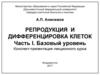 Репродукция и дифференцировка клеток